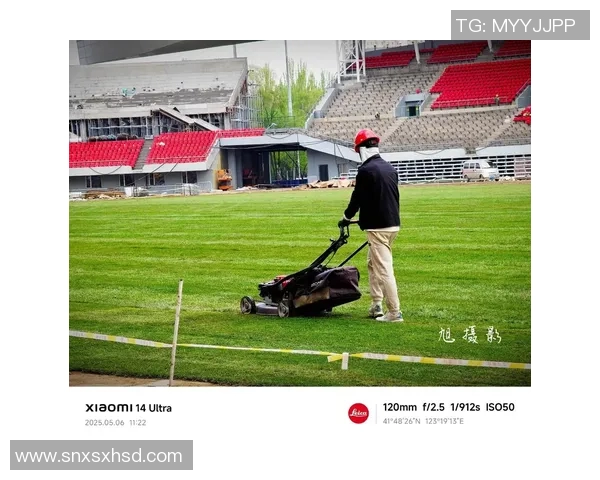 足球场草皮技术揭秘